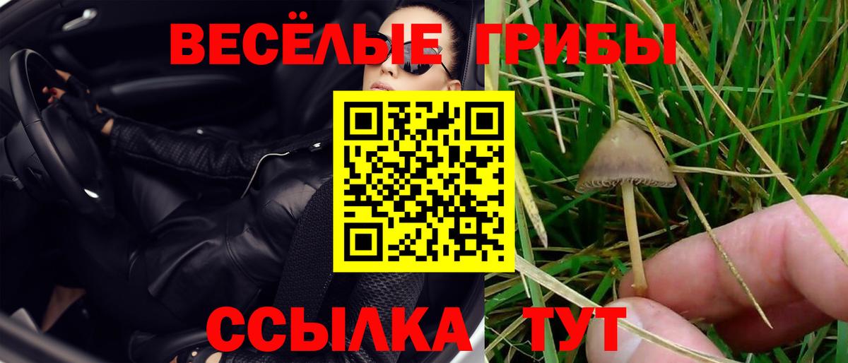 наркотики  Вход с VPN  Псилоцибиновые грибы Psilocybine cubensis  Ивантеевка  Галлюциногенные грибы Psilocybe 