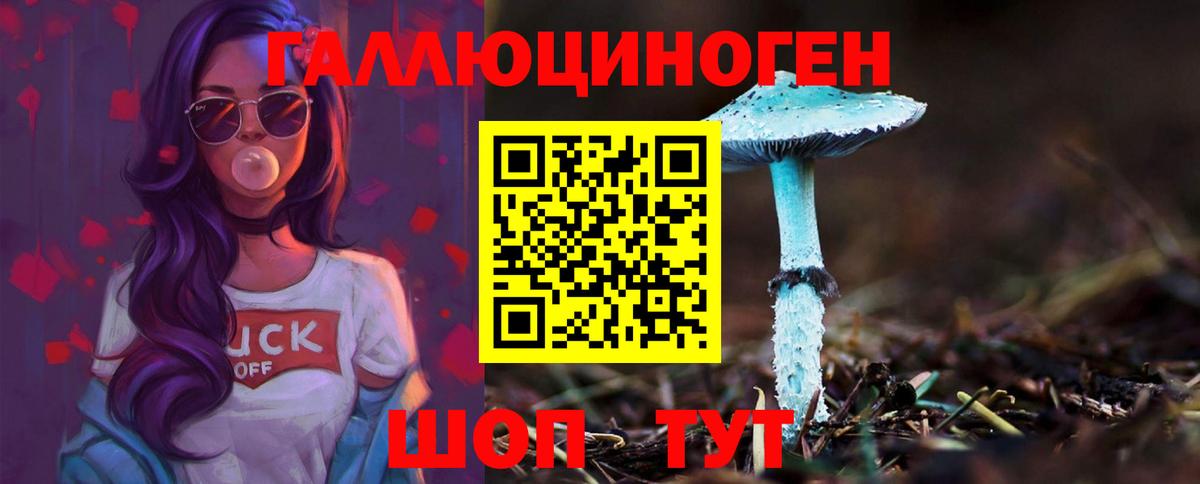 Псилоцибиновые грибы прущие грибы Ивантеевка